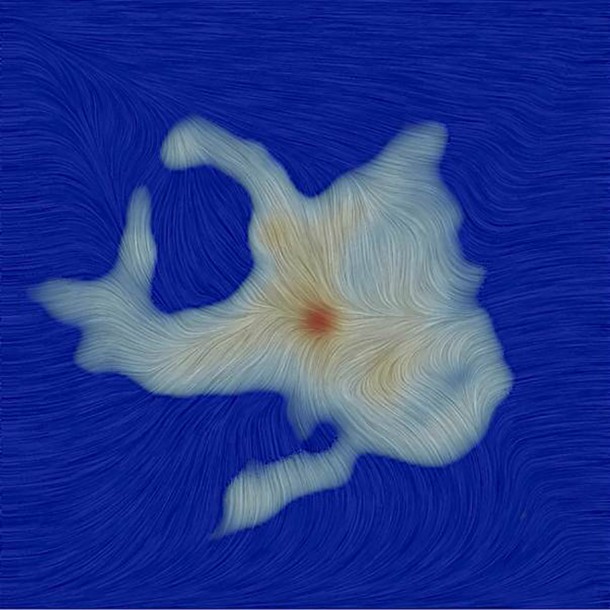 Texture represents the magnetic field orientation in the region surrounding the Ser-emb 8 protostar, as measured by ALMA. The gray region is the millimeter wavelength dust emission. ALMA (ESO/NAOJ/NRAO); P. Mocz, C. Hull, CfA Texture represents the magnetic field orientation in the region surrounding the Ser-emb 8 protostar, as measured by ALMA. The gray region is the millimeter wavelength dust emission. ALMA (ESO/NAOJ/NRAO); P. Mocz, C. Hull, CfA