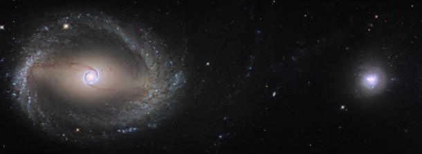 This composite image, created out of two different pointings from Hubble, shows the barred spiral galaxy NGC 1512 (left) and the dwarf galaxy NGC 1510 (right). Both galaxies are about 30 million light-years away from Earth and currently in the process of merging. At the end of this process NGC 1512 will have cannibalised its smaller companion. Credit: ESA/Hubble, NASA This composite image, created out of two different pointings from Hubble, shows the barred spiral galaxy NGC 1512 (left) and the dwarf galaxy NGC 1510 (right). Both galaxies are about 30 million light-years away from Earth and currently in the process of merging. At the end of this process NGC 1512 will have cannibalised its smaller companion. Credit: ESA/Hubble, NASA