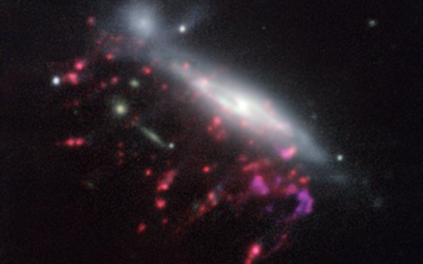 This picture of one of the galaxies, nicknamed JO204, from the MUSE instrument on ESO’s Very Large Telescope in Chile, shows clearly how material is streaming out of the galaxy in long tendrils to the lower-left. Red shows the glow from ionised hydrogen gas and the whiter regions are where most of the stars in the galaxy are located. Some more distant galaxies are also visible. Credit: ESO/GASP collaboration This picture of one of the galaxies, nicknamed JO204, from the MUSE instrument on ESO’s Very Large Telescope in Chile, shows clearly how material is streaming out of the galaxy in long tendrils to the lower-left. Red shows the glow from ionised hydrogen gas and the whiter regions are where most of the stars in the galaxy are located. Some more distant galaxies are also visible. Credit: ESO/GASP collaboration
