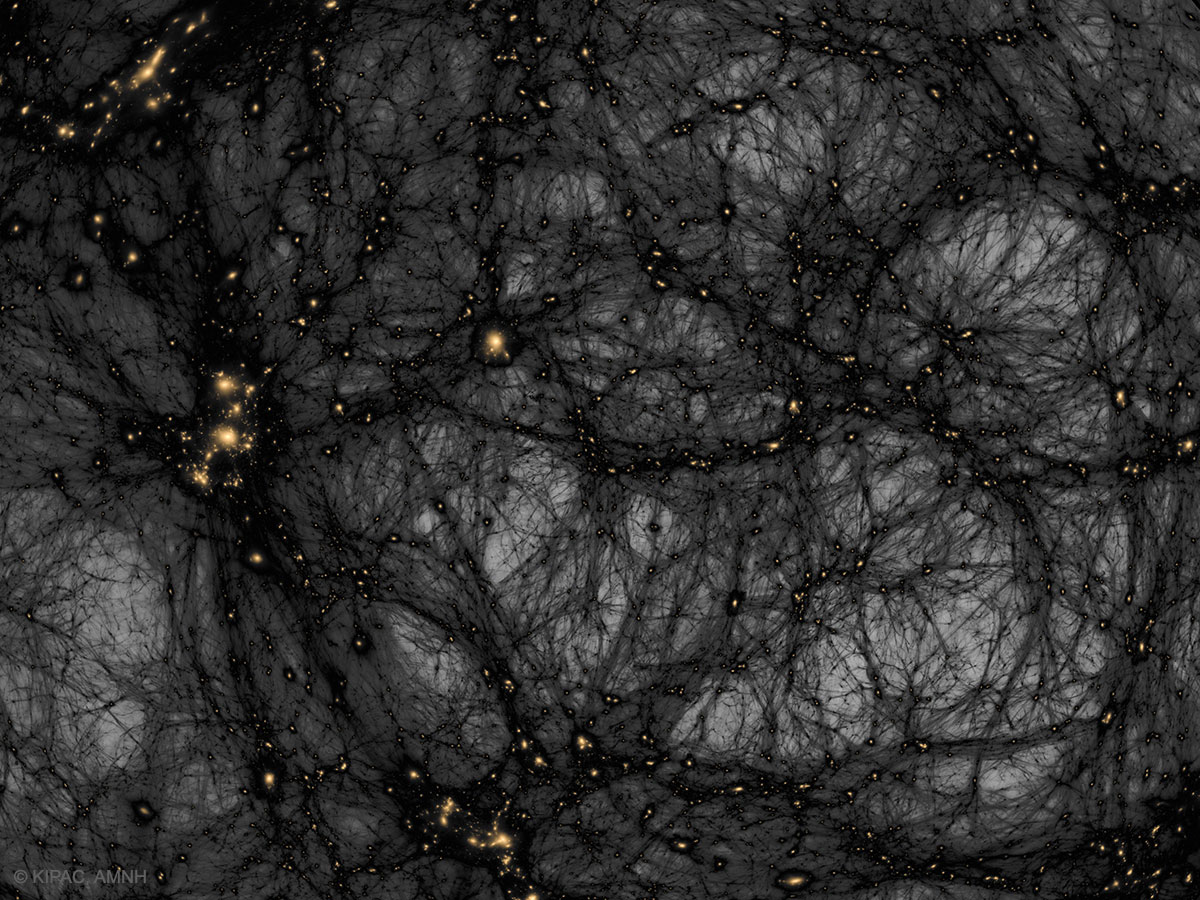 Dark Matter in a Simulated Universe International Space Fellowship
