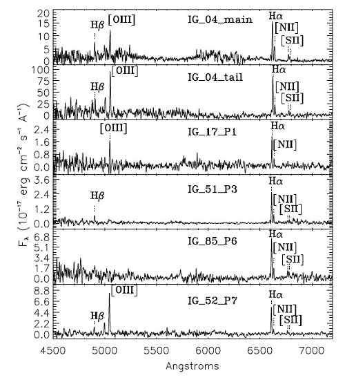 Gemini South spectra for six intergalactic regions around NGC 2865. In the image are marked the principal emission lines. Gemini South spectra for six intergalactic regions around NGC 2865. In the image are marked the principal emission lines.